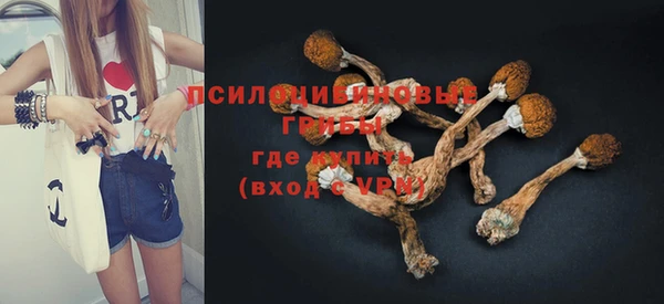 хмурый Алексеевка